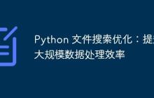 Python 文件搜索优化：提升大规模数据处理效率