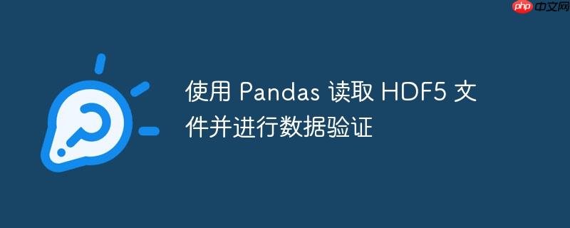 使用 Pandas 读取 HDF5 文件并进行数据验证-小浪学习网