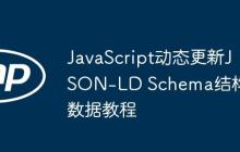 JavaScript动态更新JSON-LD Schema结构化数据教程