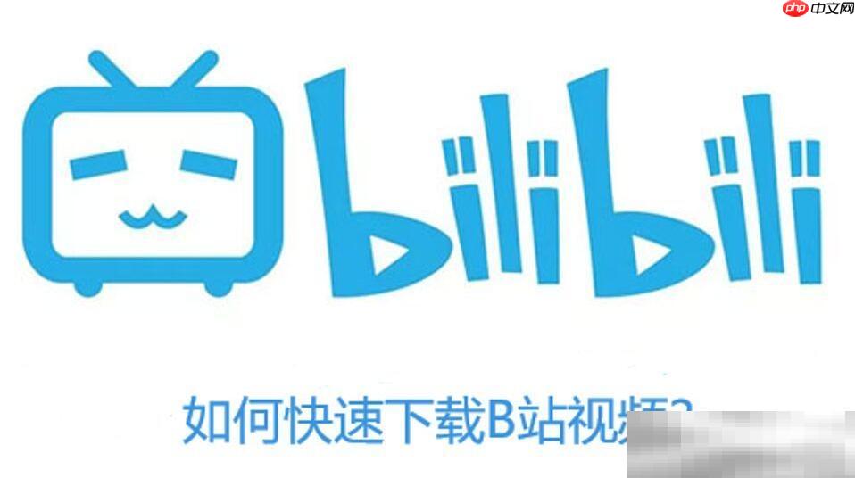 b站视频怎么下载（保证成功下载的方法分享）