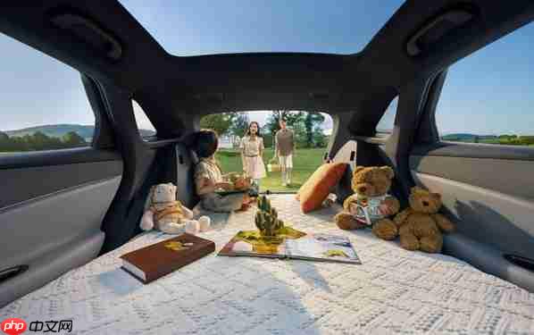 标配天神之眼C和云辇-C 比亚迪海狮06售价13.98万起