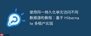 使用同一持久化单元访问不同数据源的教程:基于 hibernate 多租户实现