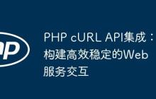PHP cURL API集成:构建高效稳定的Web服务交互