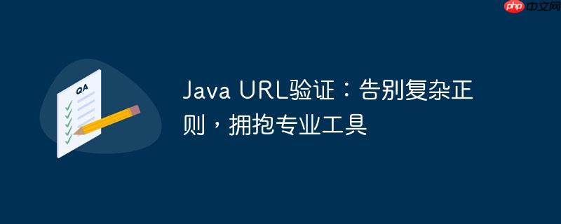 Java URL验证：告别复杂正则，拥抱专业工具