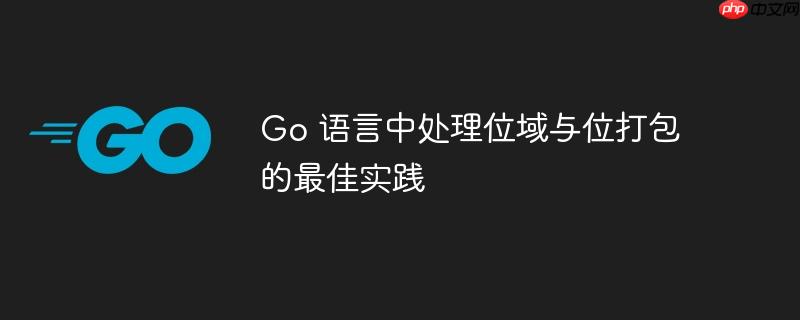 Go 语言中处理位域与位打包的最佳实践