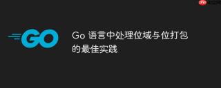 Go 语言中处理位域与位打包的最佳实践