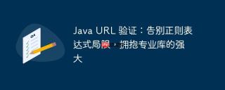 Java URL 验证：告别正则表达式局限，拥抱专业库的强大
