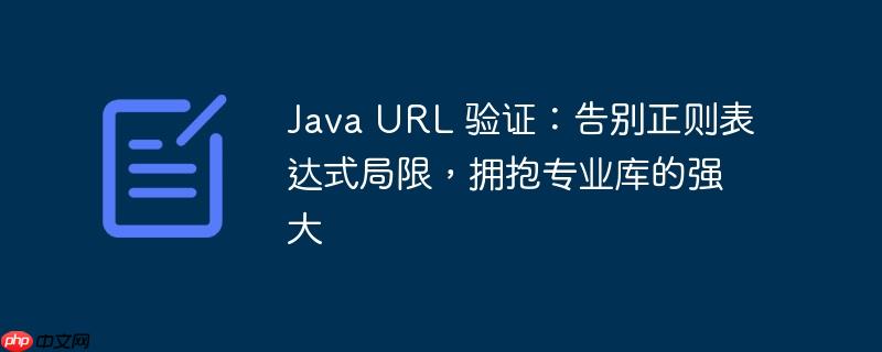 Java URL 验证：告别正则表达式局限，拥抱专业库的强大-小浪学习网