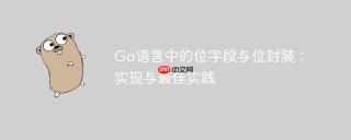 Go语言中的位字段与位封装：实现与最佳实践