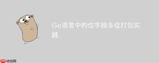 Go语言中的位字段与位打包实践