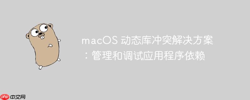 macOS 动态库冲突解决方案：管理和调试应用程序依赖
