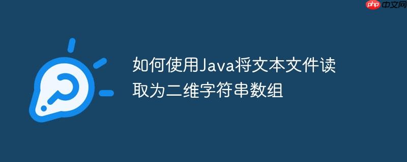 如何使用Java将文本文件读取为二维字符串数组