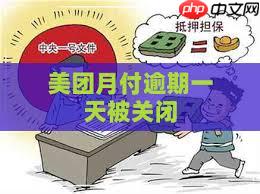 美团月付是什么意思