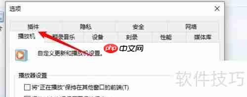 WMP播放器插件屏幕设置