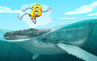 베테랑 비트 코인 (BTC) 플레이어의 'Shakes Selwidence'댓글