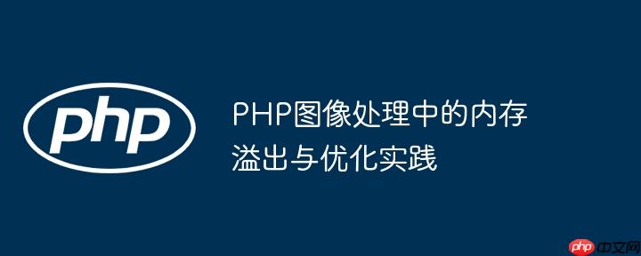 PHP图像处理中的内存溢出与优化实践
