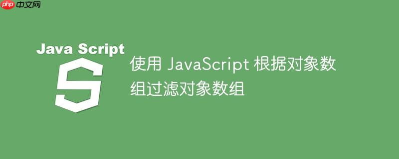 使用 javascript 根据对象数组过滤对象数组