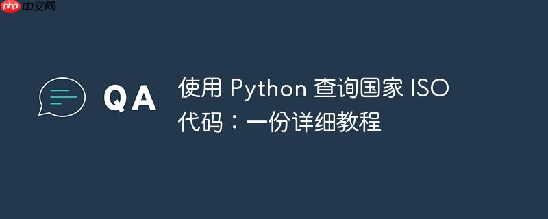 使用 python 查询国家 iso 代码：一份详细教程