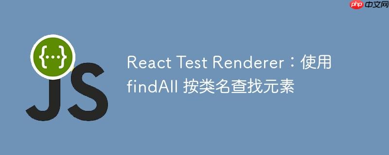 React Test Renderer：使用 findAll 按类名查找元素
