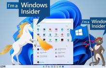 Windows 11 23580版本：Copilot本地账户支持+共享速度提升