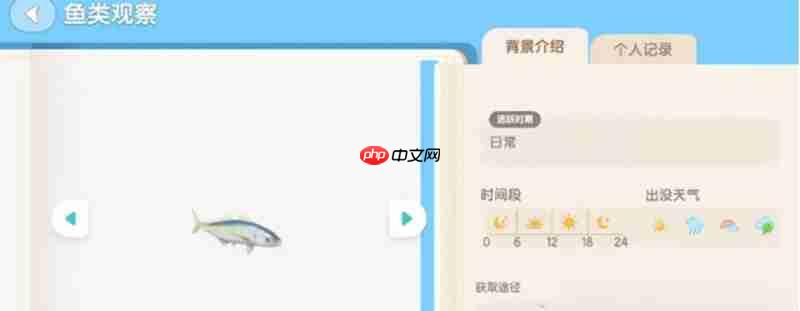 心动小镇海钓任务怎么做 海钓玩法详细攻略