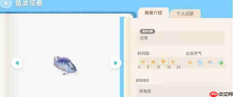 心动小镇海钓任务怎么做 海钓玩法详细攻略