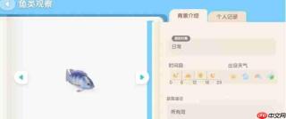 心动小镇海钓任务怎么做 海钓玩法详细攻略