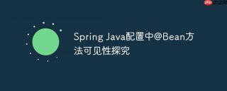 Spring Java配置中@Bean方法可见性探究