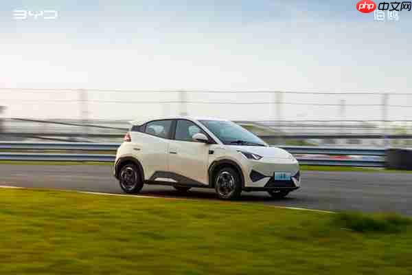 2025上半年中国自主品牌车型销量排名 小米SU7居第五