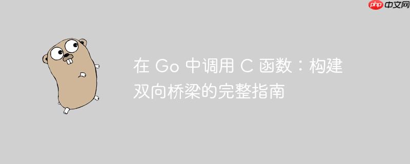 在 go 中调用 c 函数:构建双向桥梁的完整指南