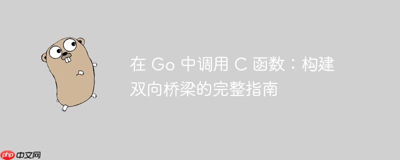 在 Go 中调用 C 函数：构建双向桥梁的完整指南
