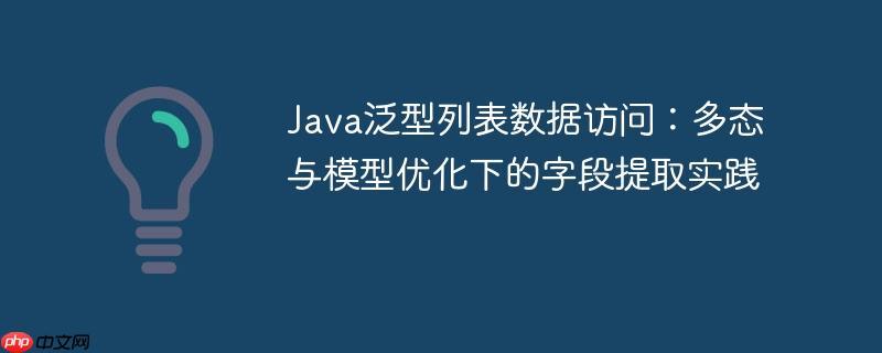 Java泛型列表数据访问：多态与模型优化下的字段提取实践