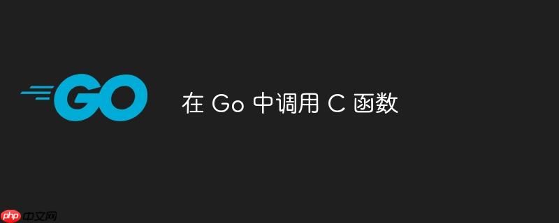 在 go 中调用 c 函数
