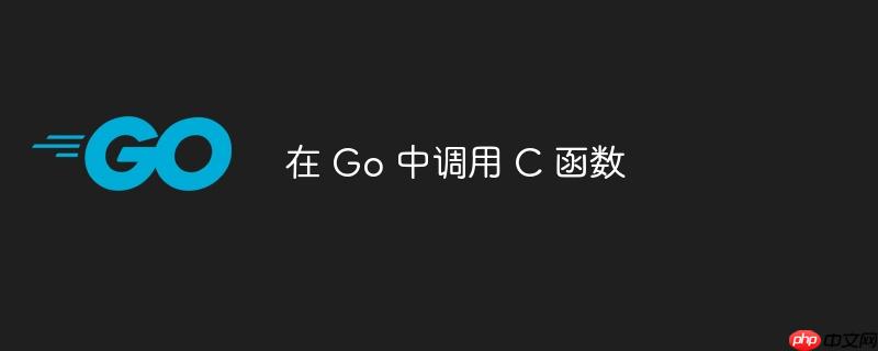 在 Go 中调用 C 函数