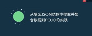 从复杂JSON结构中提取并聚合数据到POJO的实践