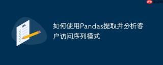 如何使用Pandas提取并分析客户访问序列模式