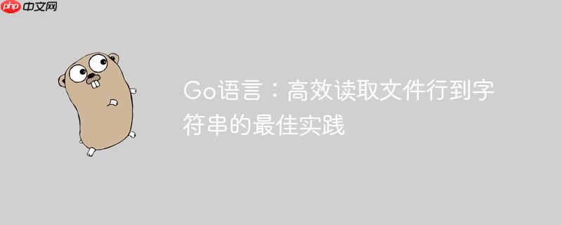 Go语言：高效读取文件行到字符串的最佳实践
