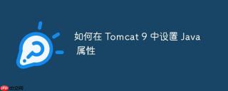 如何在 Tomcat 9 中设置 Java 属性
