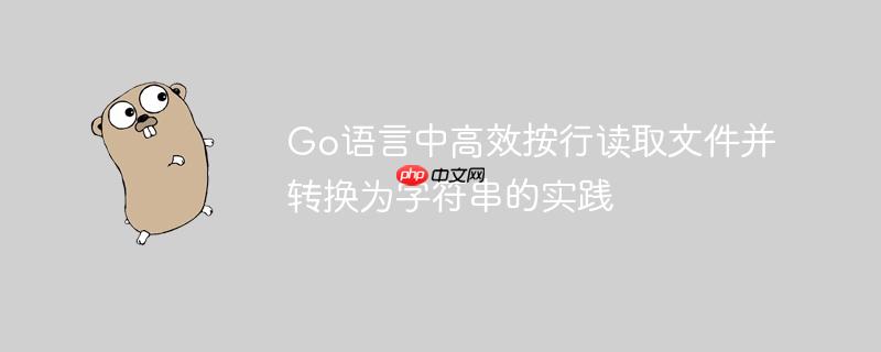 Go语言中高效按行读取文件并转换为字符串的实践
