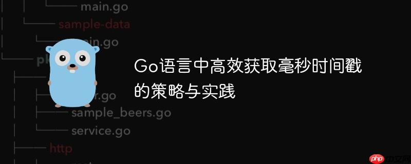 Go语言中高效获取毫秒时间戳的策略与实践
