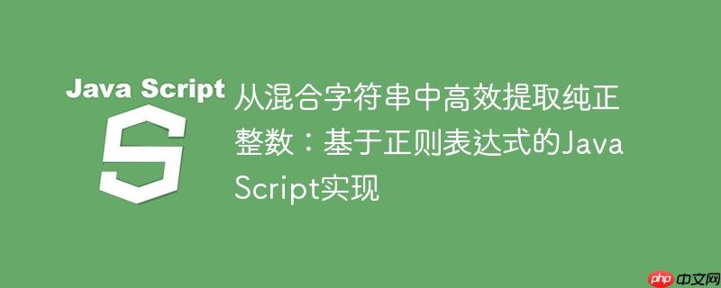 从混合字符串中高效提取纯正整数：基于正则表达式的JavaScript实现-小浪学习网