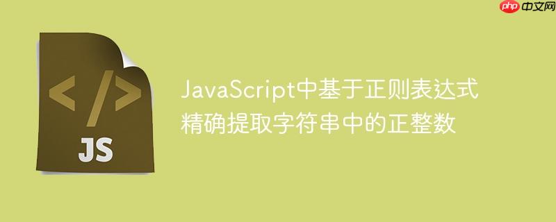 JavaScript中基于正则表达式精确提取字符串中的正整数-小浪学习网