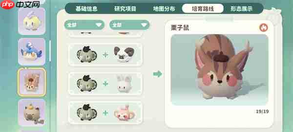 米姆米姆哈燃尾虎孵化攻略分享