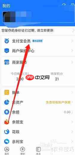 支付领取宝马踏飞燕皮肤指南