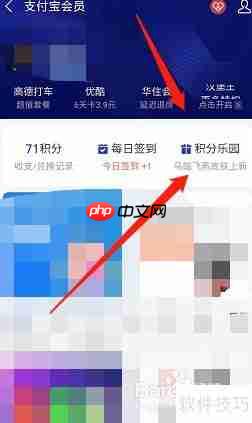 支付领取宝马踏飞燕皮肤指南