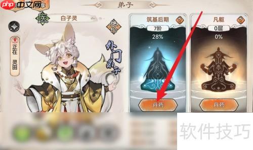 最强祖师金元丹使用攻略