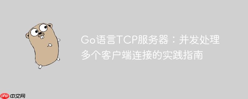 Go语言TCP服务器:并发处理多个客户端连接的实践指南
