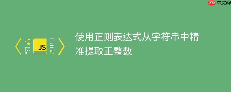 使用正则表达式从字符串中精准提取正整数-小浪学习网