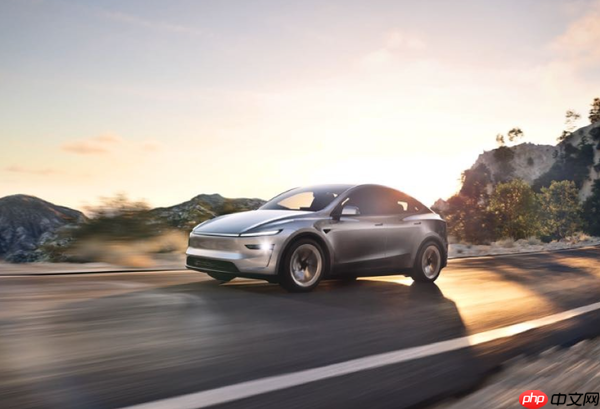 2025年上半年合资/外资车型销量排名:Model Y大跌17%