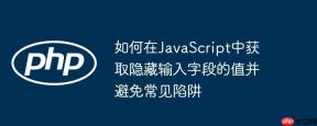 如何在JavaScript中获取隐藏输入字段的值并避免常见陷阱